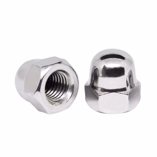 Porca abobadada personalizada de aço inoxidável 304 316 porca sextavada
